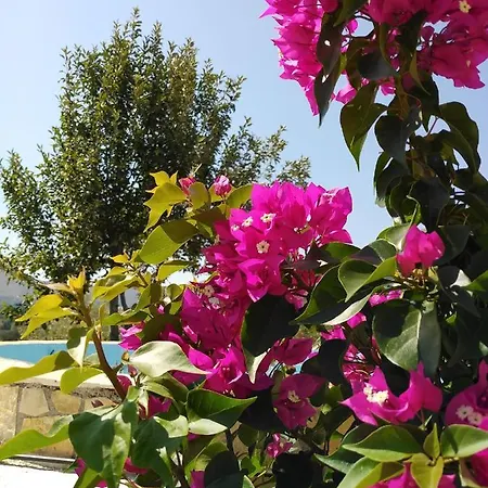度假居 With Pool In Tzanata Kefalonia *